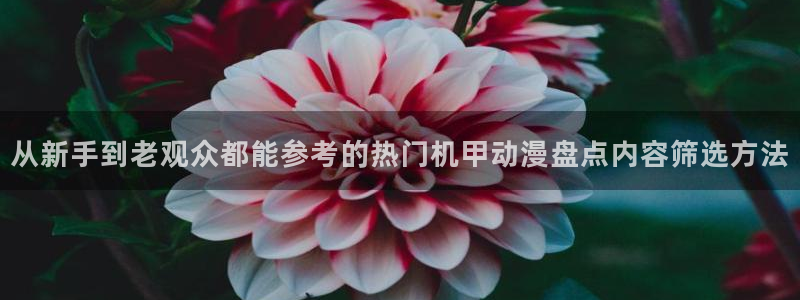 奇漫屋热门漫画：从新手到老观众都能参考的热门机甲动漫盘点内容筛选方法配图
