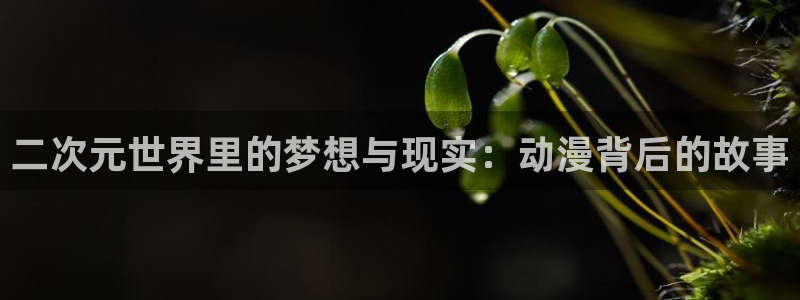 奇漫屋精选推荐:二次元世界里的梦想与现实:动漫背后的故事配图